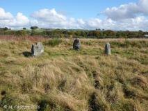 Broomend Of Crichie Stone Circle / Henge - PID:168339