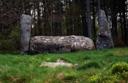 Cothiemuir Wood - PID:85881