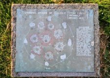 Cullerlie - PID:61869