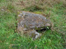 Cothiemuir Wood