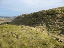 Dunnideer Fort