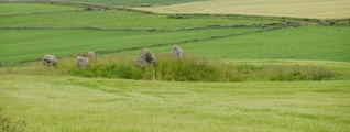 South Ythsie