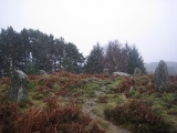 Raes Of Clune - PID:175615