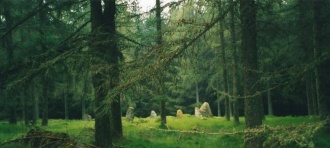 Garrol Wood