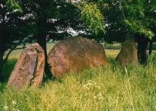 Dunnideer Circle