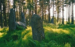Cothiemuir Wood - PID:116930 Cothiemuir Wood - PID:116930