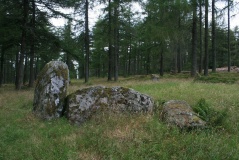 Garrol Wood