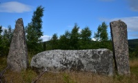 Cothiemuir Wood - PID:275861
