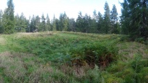 Barmkyn of North Keig - PID:195971