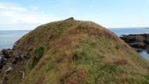 Castle Point Fort - PID:294101