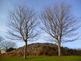 Bieldside - PID:103614