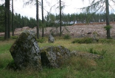 Garrol Wood