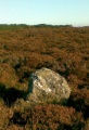Kempston Hill - PID:72120