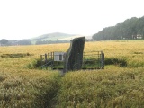 Picardy Stone