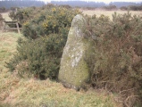 Strichen House