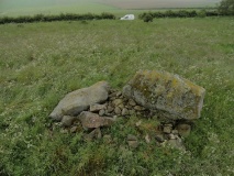 Wantonwells