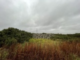 Cairn Catto - PID:220904