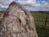 Easter Aquhorthies - PID:116614