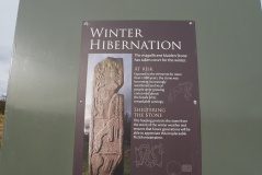 Maiden Stone (Aberdeenshire) - PID:208952 Maiden Stone (Aberdeenshire) - PID:208952