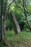 Midmar Kirk N