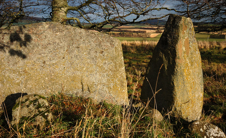 Dunnideer Circle
