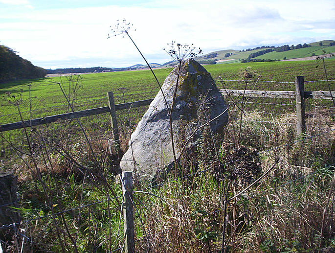 Caddam