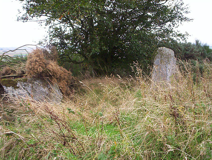 Tealing Stones