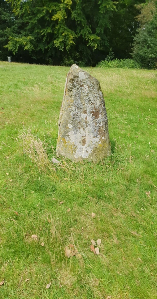Click for the gallery page to add comments and vote (PID:214629) Camperdown Standing Stone
