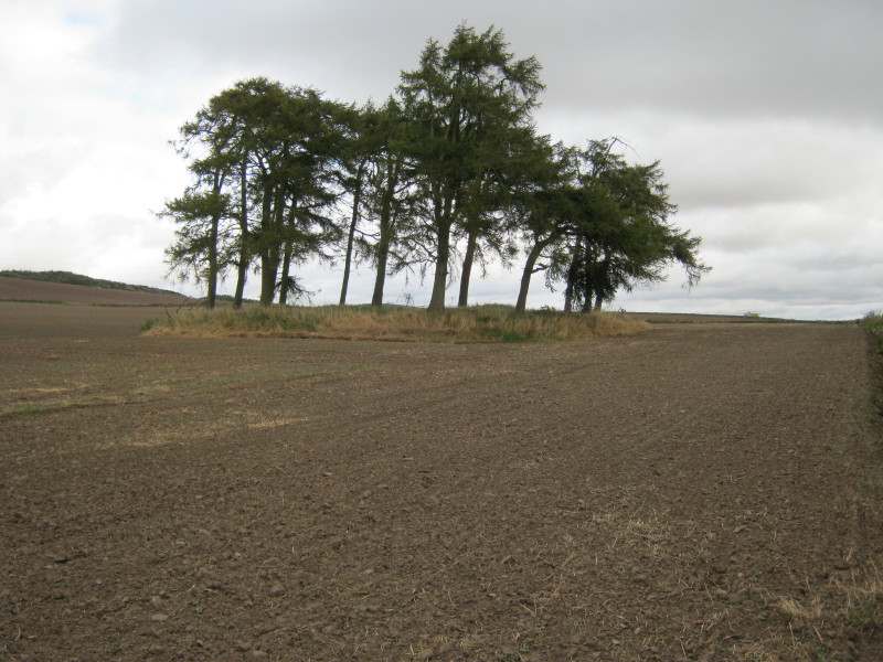 Click for the gallery page to add comments and vote (PID:97273) Carsegownie Cairn