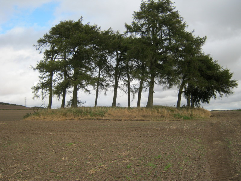 Click for the gallery page to add comments and vote (PID:97276) Carsegownie Cairn