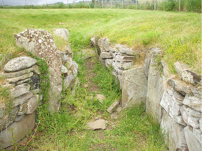 Carlungie
