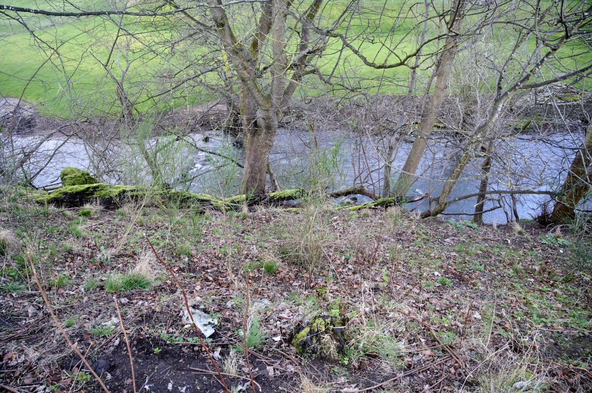 Balmossie Den (Broughty Ferry)