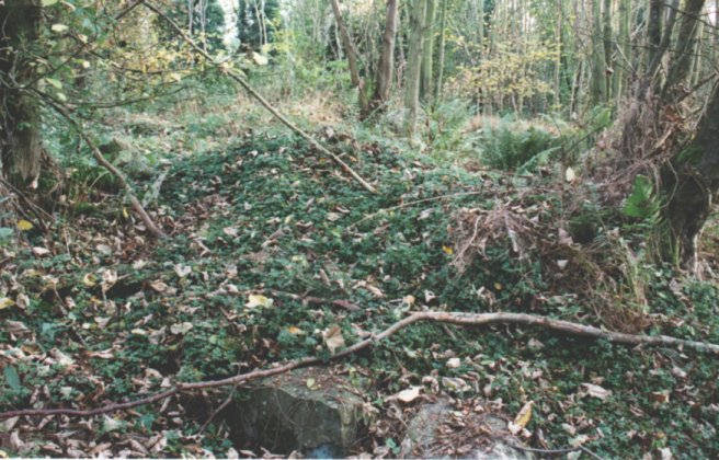 Hurly Hawkins Broch This broch is on private ground in the gardens of a house in the village of Liff, just outside Dundee. Permission MUST be sought from the owner to view. The broch is very difficult to discern initially, being heavily overgrown, but the general layout is visible. It forms part of what was described as a