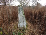 Westerton (Aberlemno) - PID:225011