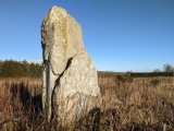 Balkello Standing Stone - PID:222106