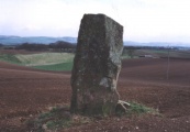 Airlie - PID:1995