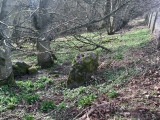 Dun cup marked stone - PID:195113