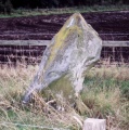 Caddam - PID:1997