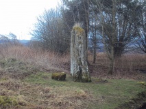Kirriemuir Stone Circle