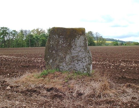 Click for the gallery page to add comments and vote (PID:1917) Westerton (Aberlemno)