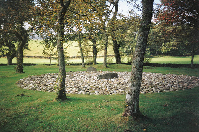 Click for the gallery page to add comments and vote (PID:16104) Temple Wood N