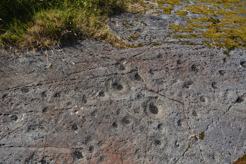 Click for the gallery page to add comments and vote (PID:184488) Leckuary Rock Art