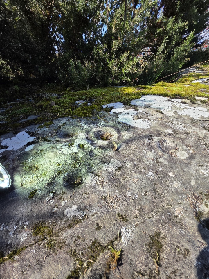 Achanarnich cup and ring marks