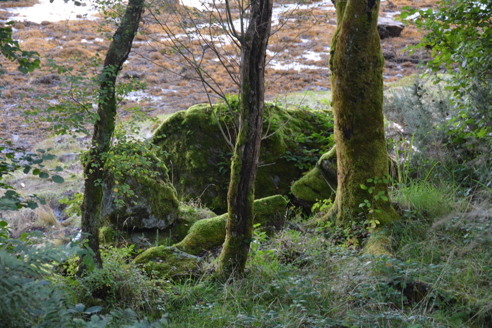 Click for the gallery page to add comments and vote (PID:171785) Meckan's Grave (Loch Riddon)