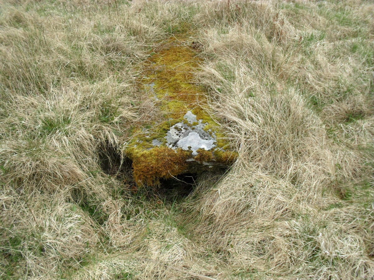 Carn Ban (Lochgilphead)