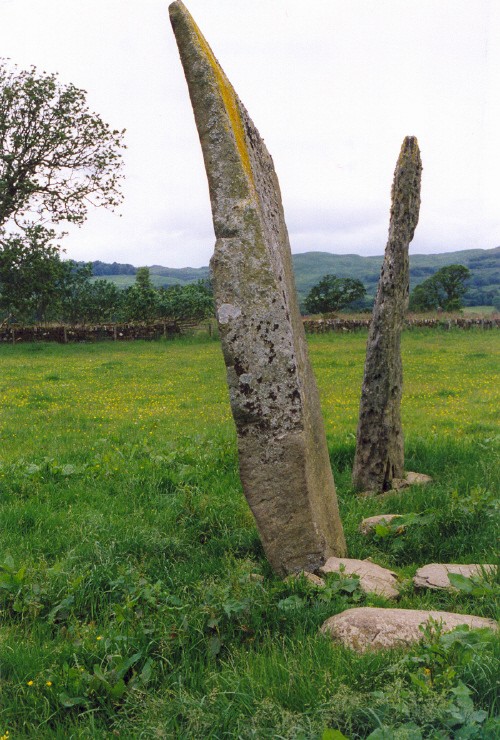 Click for the gallery page to add comments and vote (PID:17481) Ballymeanoch Stone Row