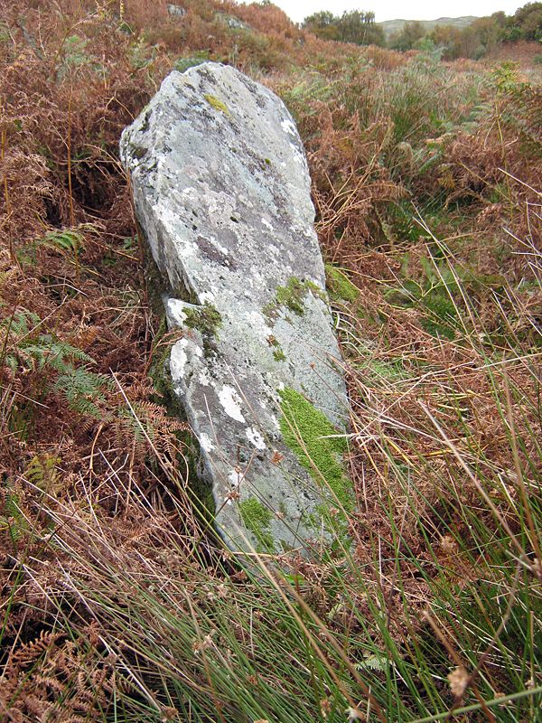Click for the gallery page to add comments and vote (PID:67533) Caisteal Nan Coin Dubh Stone