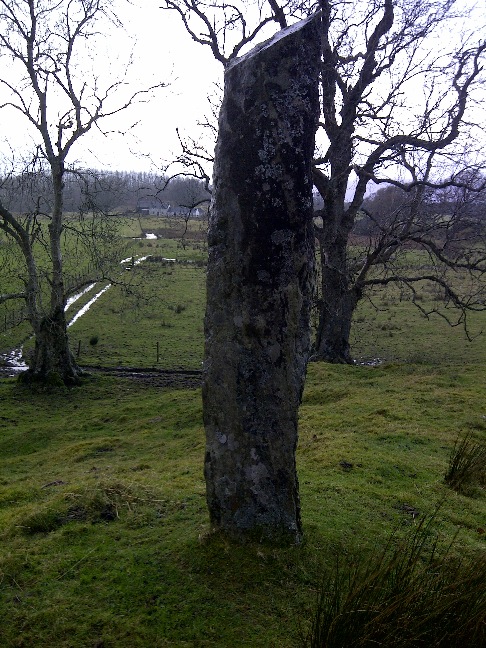 Click for the gallery page to add comments and vote (PID:85271) Castle Farm standing stone