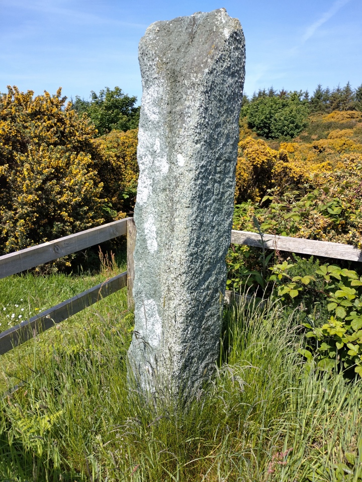 Click for the gallery page to add comments and vote (PID:258620) Cnoc na Carraigh Ogham Stone