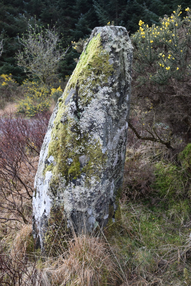 Click for the gallery page to add comments and vote (PID:164729) Loch Ciaran